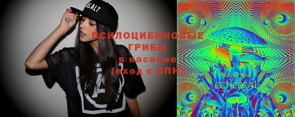 Альфа ПВП Володарск