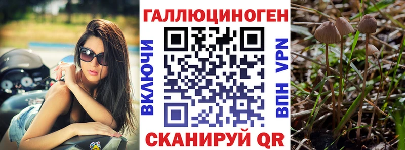 MEGA ссылки Дорогобуж Псилоцибиновые грибы Magic Shrooms